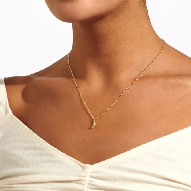 Mini Charms Feather Gold Plated 46cm   5cm Necklace 7044
